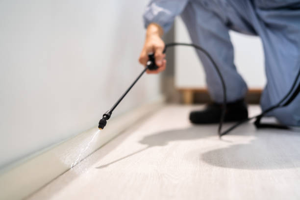 Licensed Termite Control service in District of Columbia, DC - Nex Pest Control