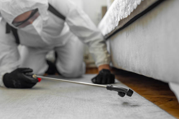 Professional Termite Control technician working in District of Columbia, DC